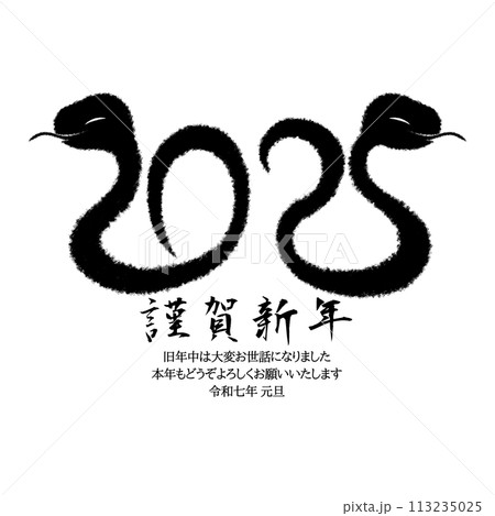 2025年巳年イラスト素材 113235025
