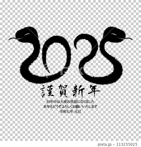 2025年巳年イラスト素材 113235025