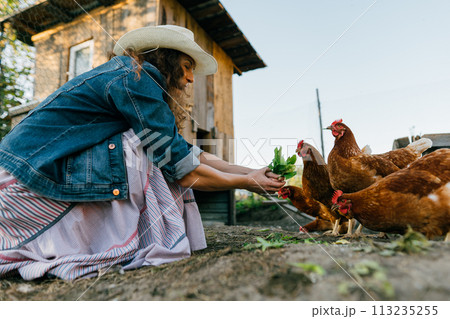 Woman farmer in denim clothes and hat smiling feeding greens to free-range chickens on sunny farm. Caring for agriculture: Satisfied woman feeding chickens with fresh leaves on her farm 113235255