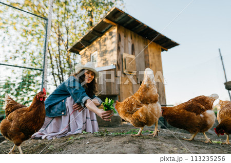 Woman Farmer Feeding Chickens, Sunny Morning at Home Farm Contentment in nature: A carefree, red-haired woman enjoys a retreat from city life to feed her farm chickens 113235256