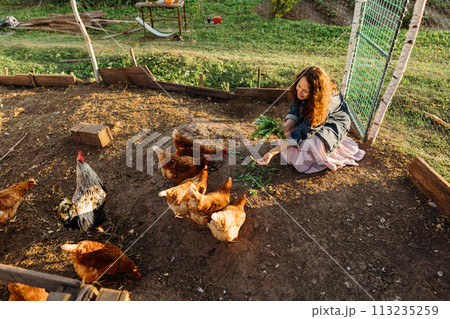 Adult woman feeding chickens with natural grass, organic farmer. Joyful middle-aged woman with curly red hair smiles while feeding chickens, taking a break from the city bustle, enjoying village life 113235259