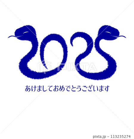 2025年巳年イラスト素材 2025年巳年イラスト素材 113235274