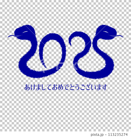 2025年巳年イラスト素材 2025年巳年イラスト素材 113235274