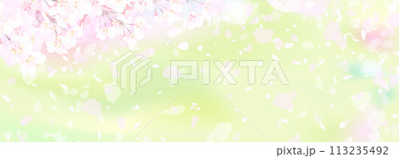 桜と新緑 桜と新緑 113235492