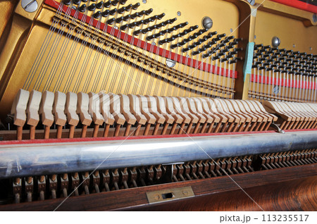 Tuner inside of a piano with little hammer 113235517