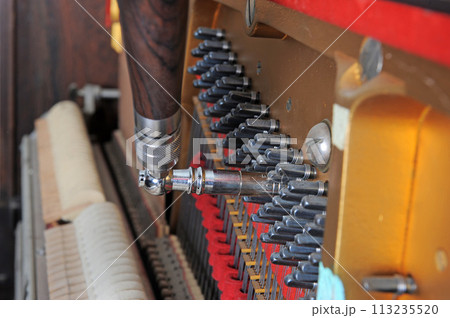 Tuner inside of a piano with little hammer Tuner inside of a piano with little hammer 113235520