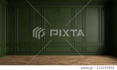 Classic modern green empty interior with blank walls with moldings, stucco and wood floor. 3d render illustration mockup. 113235959