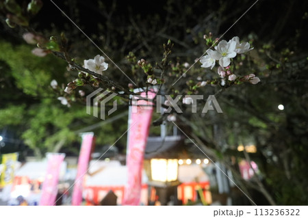 春のお祭 113236322