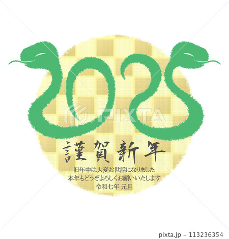 2025年巳年イラスト素材 2025年巳年イラスト素材 113236354