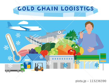 コールドチェーン輸送のイラスト コールドチェーン輸送のイラスト 113236390