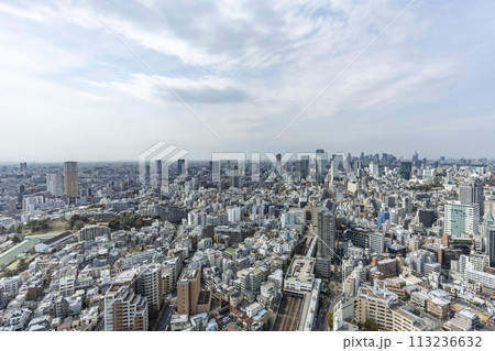 高層ビルから望む都心風景 高層ビルから望む都心風景 113236632