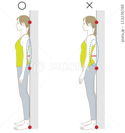 壁を背にして立つ反り腰のチェックイラストのイラスト素材 [113236789] - PIXTA