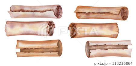 Watercolor old parchment paper scroll sheet, vintage age texture isolated on white background for stylish Book Day, scrapbook, libraries, website, sticker, border, certificate, label, invitation 113236864