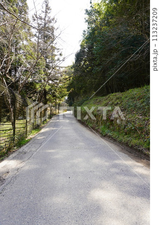 武田山へ続く道 武田山へ続く道 113237209