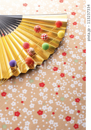 正月飾りと金色の扇の和風イメージ 113237334