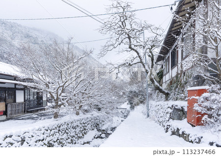 冬の京都　大原　三千院門跡へ向かう雪道 113237466