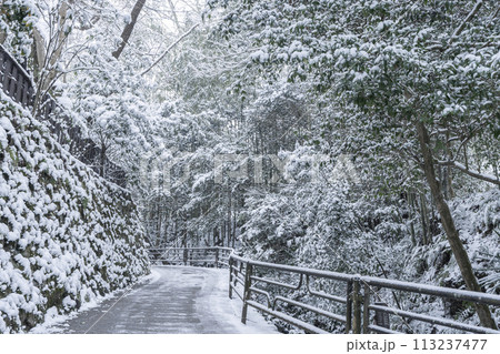 冬の京都　大原　雪景色の三千院参道 113237477