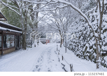 冬の京都　大原　雪景色の三千院参道 113237481