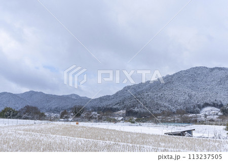 冬の京都 大原 見渡す限り雪景色の大原の里 冬の京都 大原 見渡す限り雪景色の大原の里 113237505