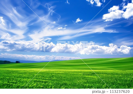 緑の草原と青空のイラスト素材 [113237620] - PIXTA