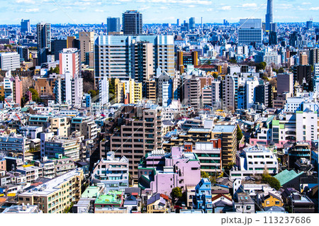 日本の東京都市景観傾斜制限の建築物…文京区本郷などの街を望む(右奥にスカイツリーも見える) 日本の東京都市景観傾斜制限の建築物…文京区本郷などの街を望む(右奥にスカイツリーも見える) 113237686