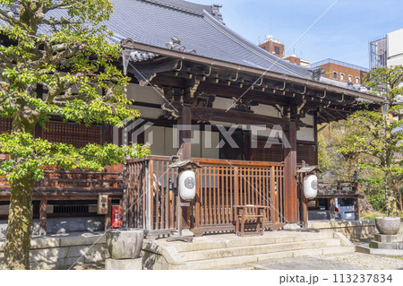 京都　天性寺　本堂（京都府京都市中京区） 113237834