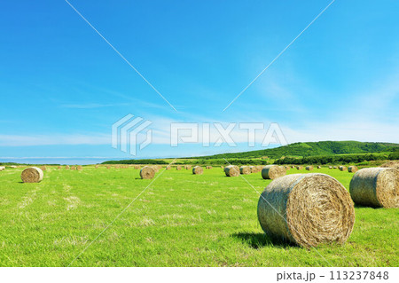 北海道 夏の青空と牧草ロール 北海道 夏の青空と牧草ロール 113237848