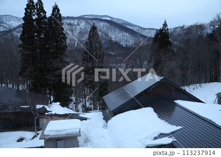 ウィンター 冬期 冬場 113237914