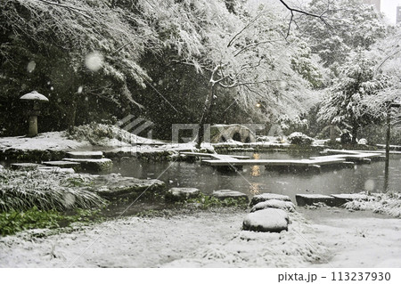 雪が降る美しい尾山神社 雪が降る美しい尾山神社 113237930