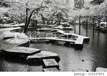 雪が降る美しい尾山神社 113237951