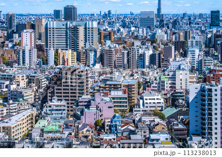 日本の東京都市景観傾斜制限の建築物…文京区本郷などの街を望む（右奥にスカイツリーも見える） 113238013