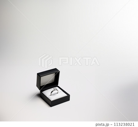 白い背景と指輪 113238021