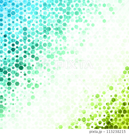 Colorful Hexagonal Pattern on White Background 113238215
