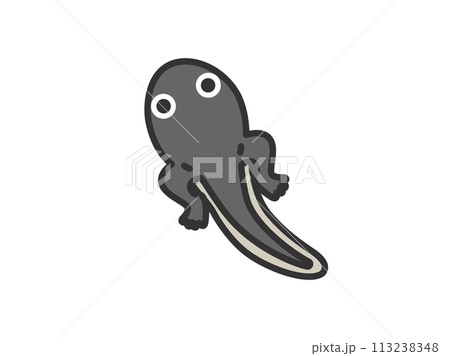 足の生えた、おたまじゃくしのアイコン（線画カラー）のイラスト 113238348