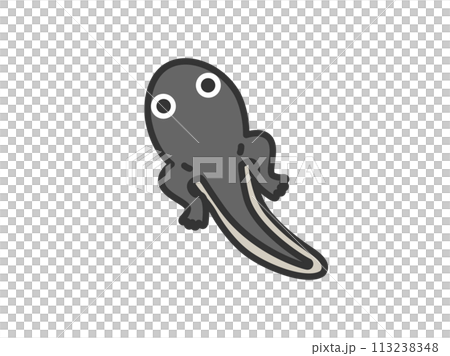 足の生えた、おたまじゃくしのアイコン（線画カラー）のイラスト 113238348
