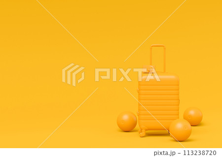 Colorful suitcase or baggage with beach accessories on monochrome background. Colorful suitcase or baggage with beach accessories on monochrome background. 113238720