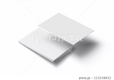 Vector illustration business branding cards template mockup. 113238812