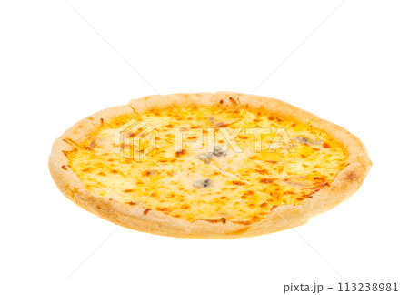 cheese pizza isolated 113238981