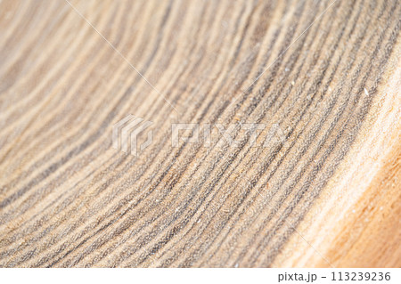 wood texture on a cut wood texture on a cut 113239236