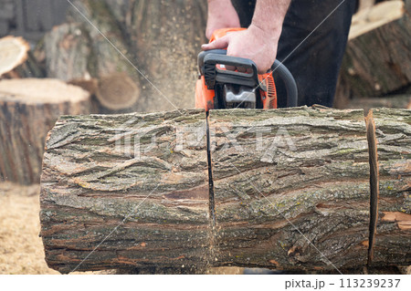 man cuts wood with a saw man cuts wood with a saw 113239237