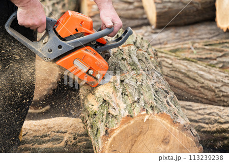 man cuts wood with a saw man cuts wood with a saw 113239238