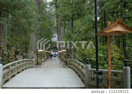 世界遺産高野山 雨に煙る奥之院 御廟橋 和歌山県 世界遺産高野山 雨に煙る奥之院 御廟橋 和歌山県 113239325