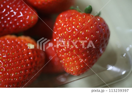イチゴ いちご 苺 113239397
