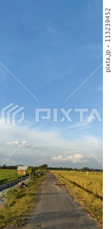Rice farming on the edge of the mountain and beautiful roads with beautiful clouds in the afternoon and evening 113239452