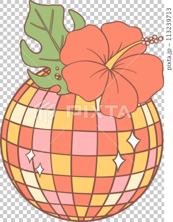 Groovy retro summer disco ball 113239713