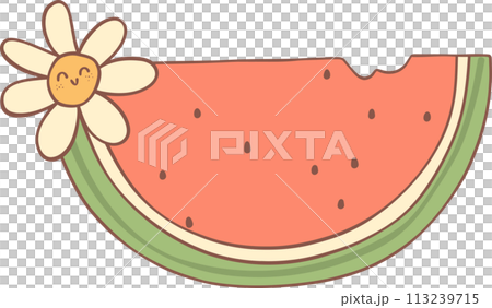 Groovy retro summer watermelon Groovy retro summer watermelon 113239715