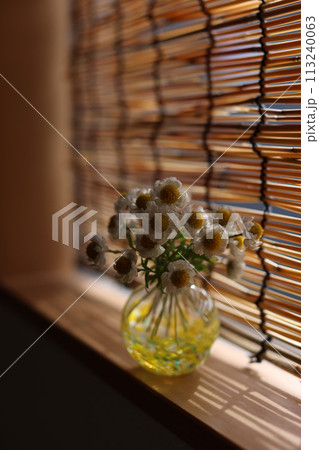 びいどろ 113240063