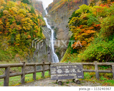 富山_紅葉に染まる称名滝の絶景風景 113240367