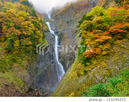 富山_紅葉に染まる称名滝の絶景風景 113240372