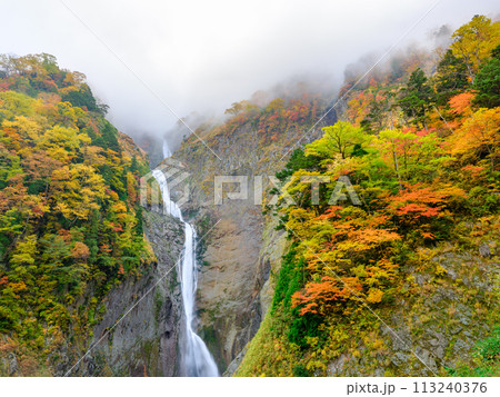 富山_紅葉に染まる称名滝の絶景風景 富山_紅葉に染まる称名滝の絶景風景 113240376